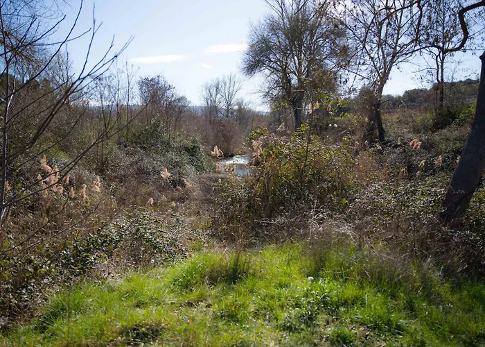 Nyaraló Maison Avec 2 Appartements, Jacuzzi Et Acces Prive A La Riviere *