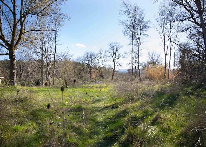 Сasa de vacaciones Maison Avec 2 Appartements, Jacuzzi Et Accès Privé à La Rivière Ladern-sur-Lauquet